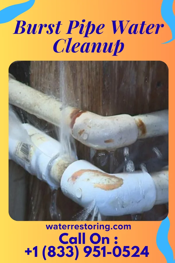 Burst Pipe Water Cleanup in West Hills, NY