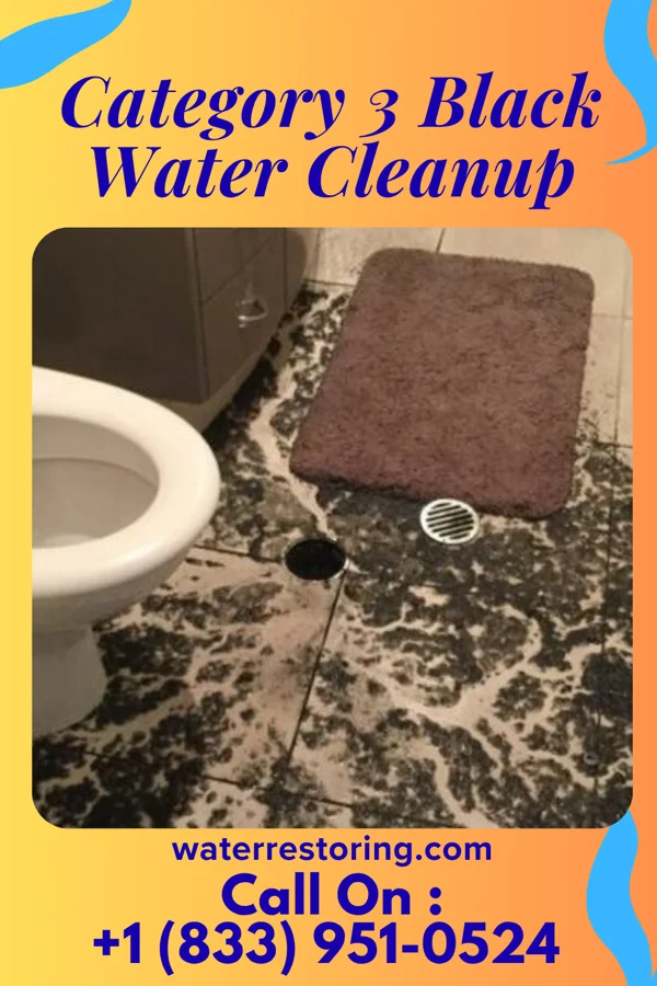 Category 3 Black Water Cleanup in West Hills, NY