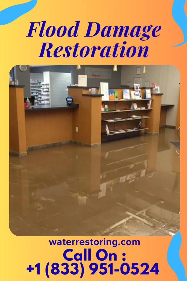 Flood Damage Restoration in West Hills, NY