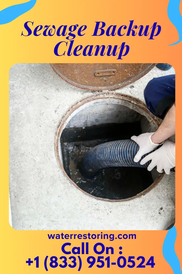 Sewage Backup Cleanup in West Hills, NY