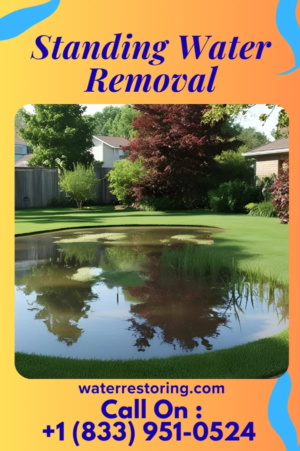 Standing Water Removal in West Hills, NY